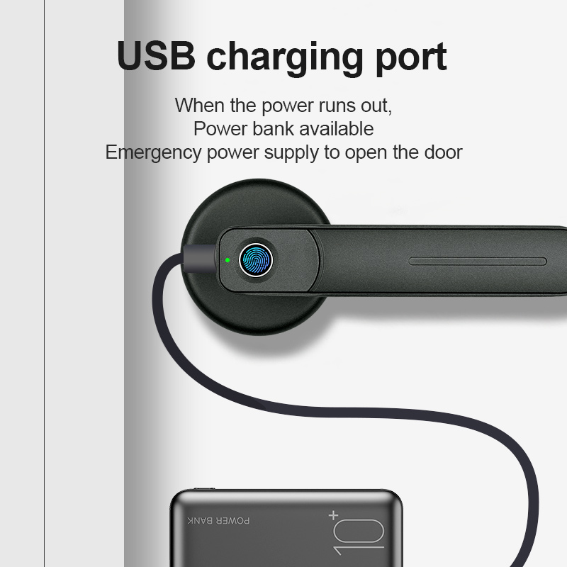 Smart Home Door Lock - Serratura Intelligente Biometrica con Impronta Digitale,