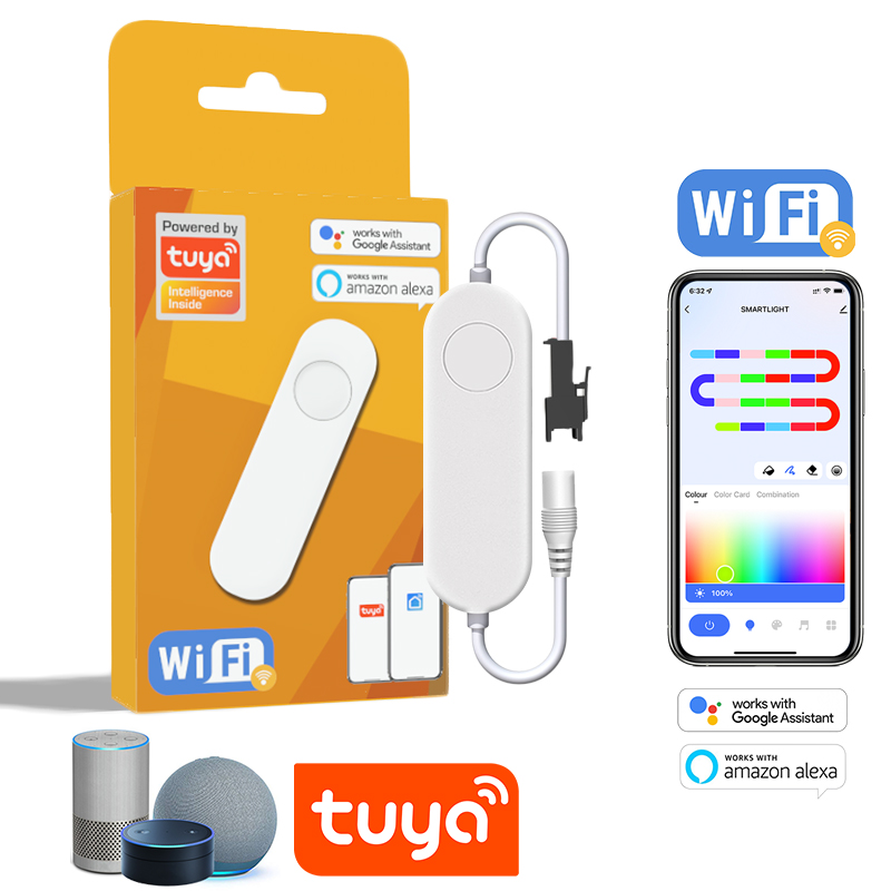 Alexa Compatible Bulb - Controller indirizzabile TUYA WIFI RGBIC Dimmer