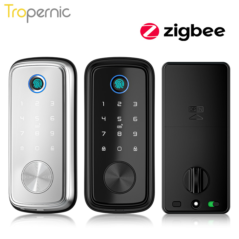 Smart Home Door Lock - Tuya Zigbee serrature a catenaccio serratura