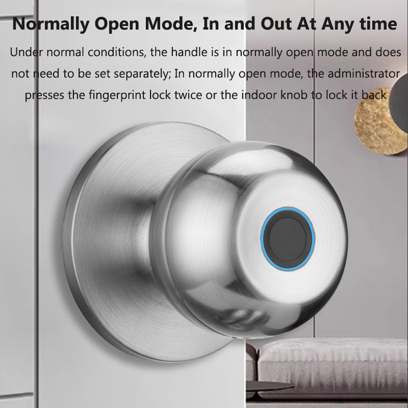 Tuya Serratura Smart Fingerpri - Smart Home Door Lock recensione e prezzo