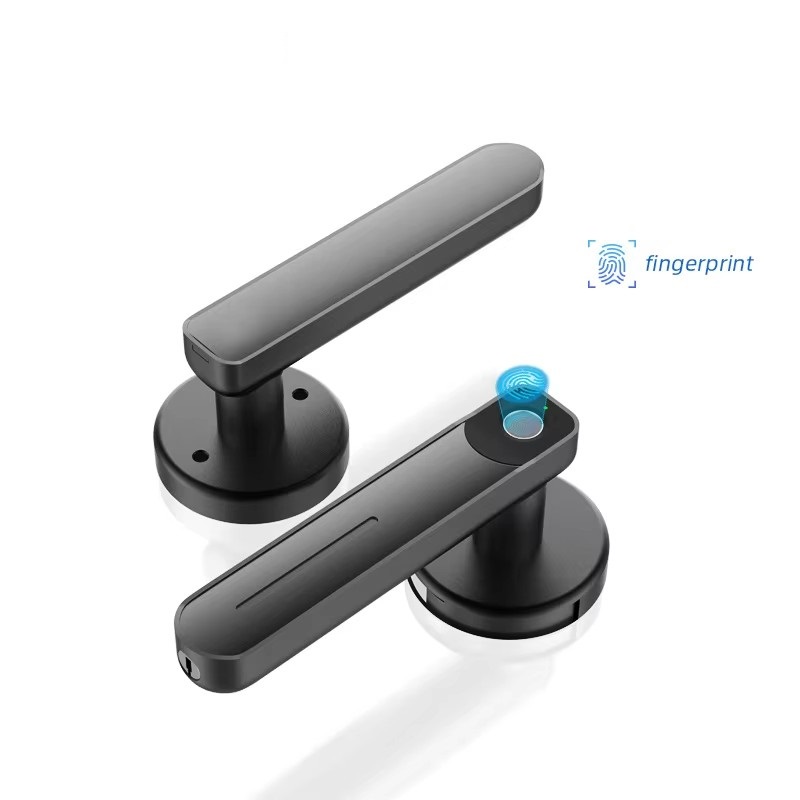 Serratura Intelligente Biometr - Smart Home Door Lock recensione e prezzo