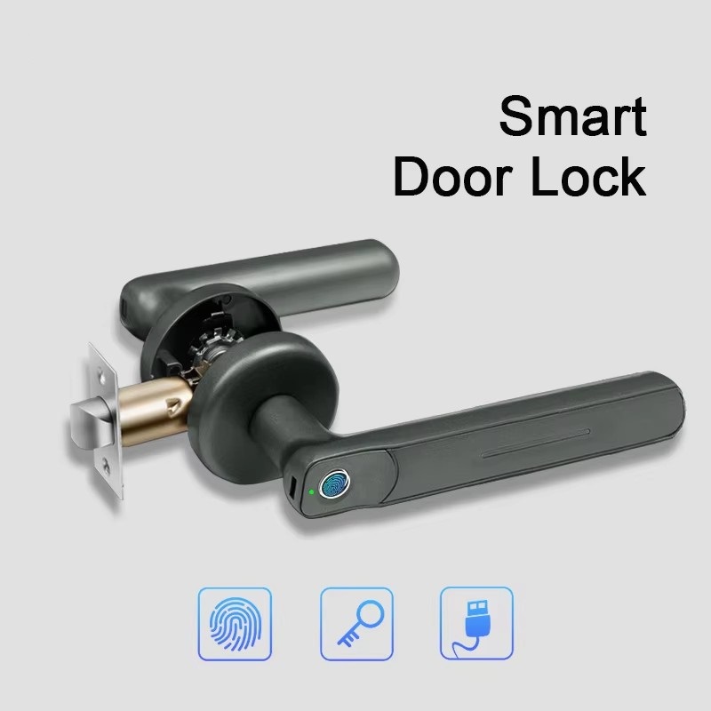 Serratura Intelligente Biometr - Smart Home Door Lock recensione e prezzo
