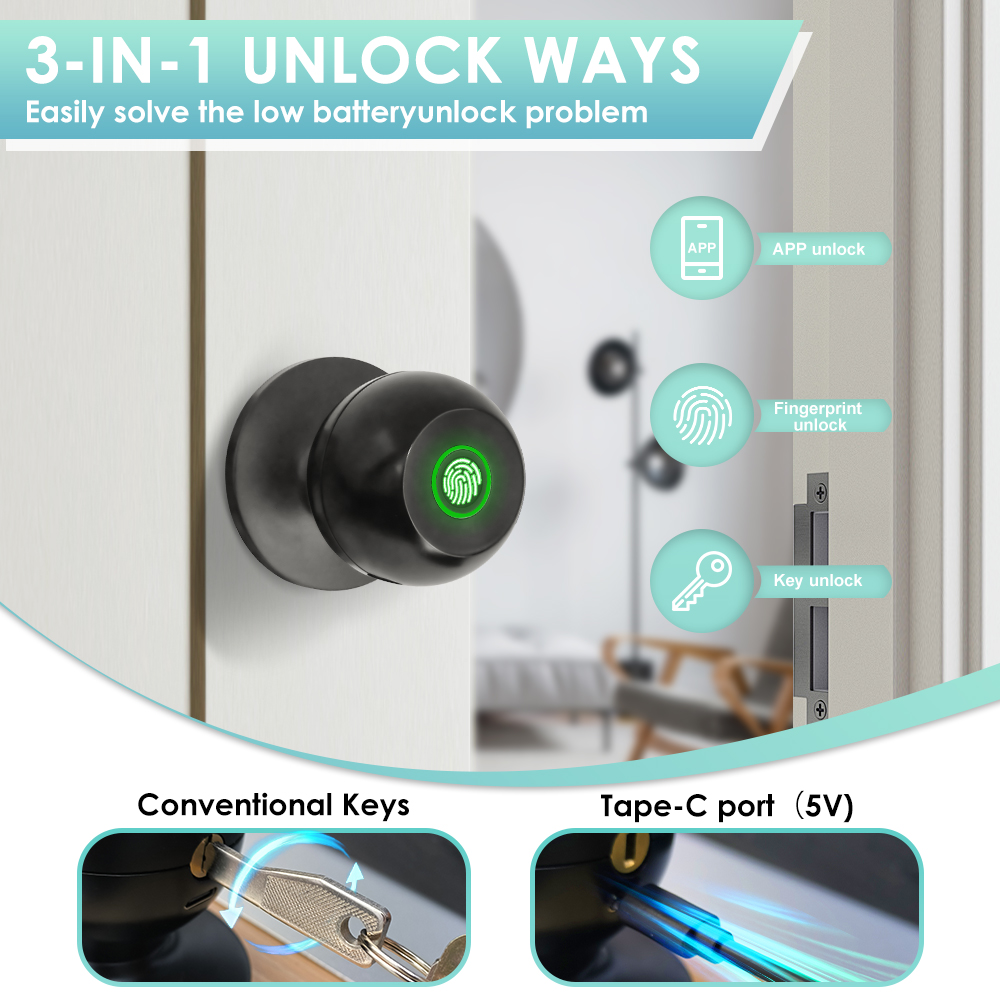 Tuya Serratura elettronica Ser - Smart Home Door Lock recensione e prezzo