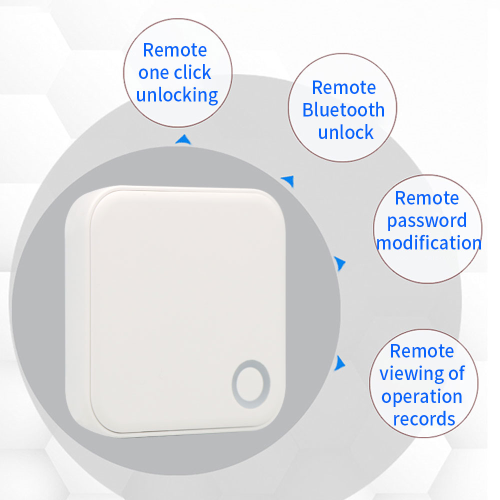 2.4G + 5G TTLOCK WIFI Gateway  - Smart Home Door Lock recensione e prezzo