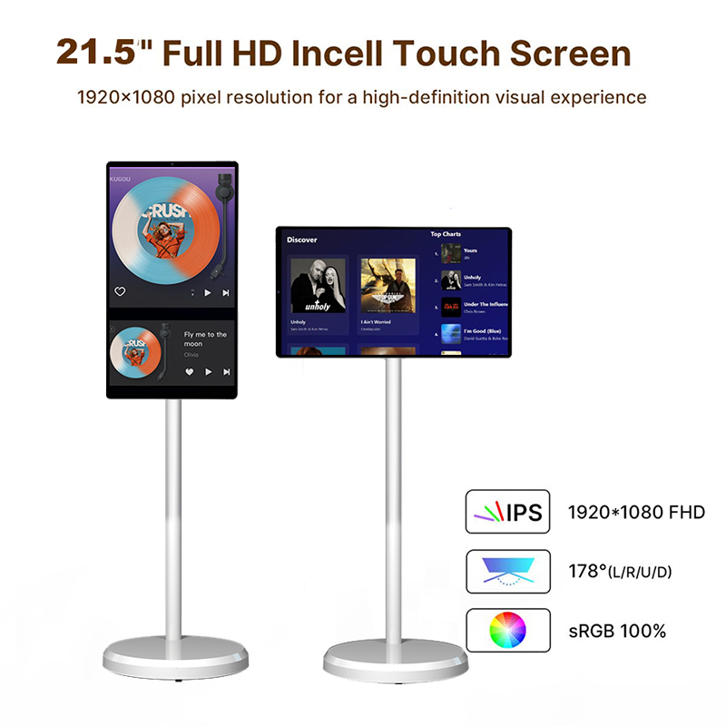 TV Smart Portatile da 21,5 Pol - Smart Home Pc recensione e prezzo