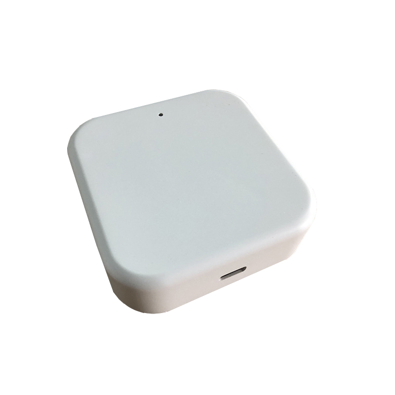 Gateway Smart TTLock G2 WiFi B - Smart Home Door Lock recensione e prezzo
