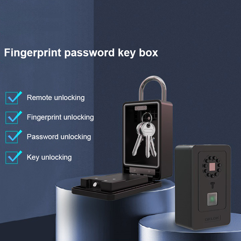 Cassetta di Sicurezza Intellig - Smart Home Door Lock recensione e prezzo