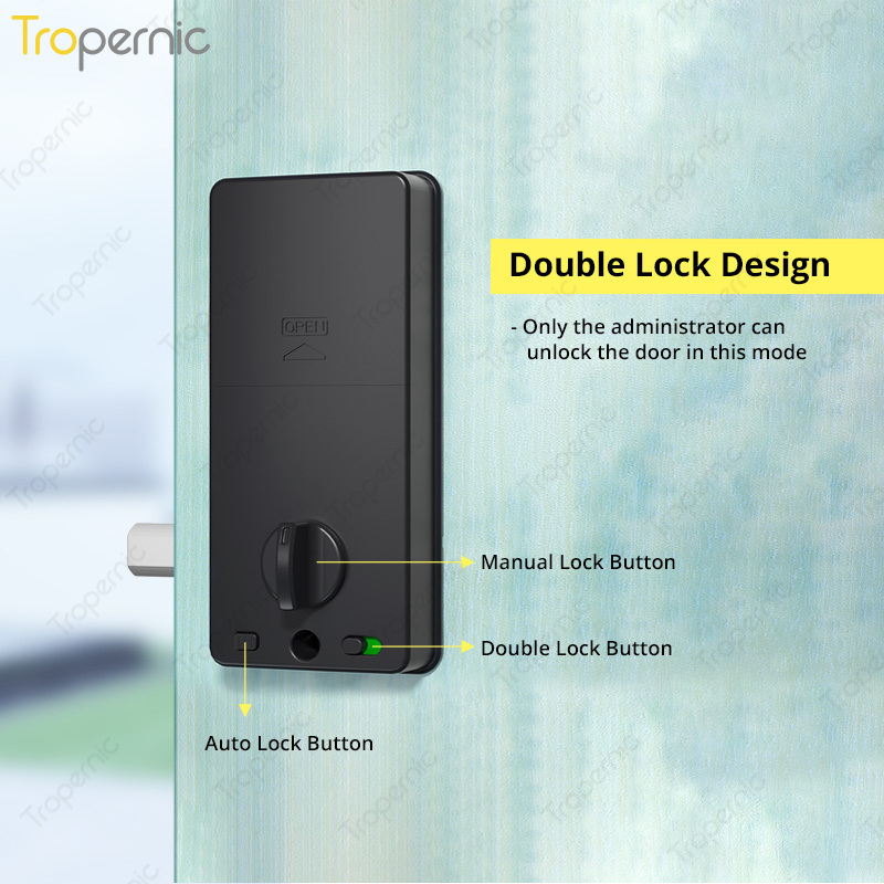 Tuya Zigbee serrature a catena - Smart Home Door Lock recensione e prezzo