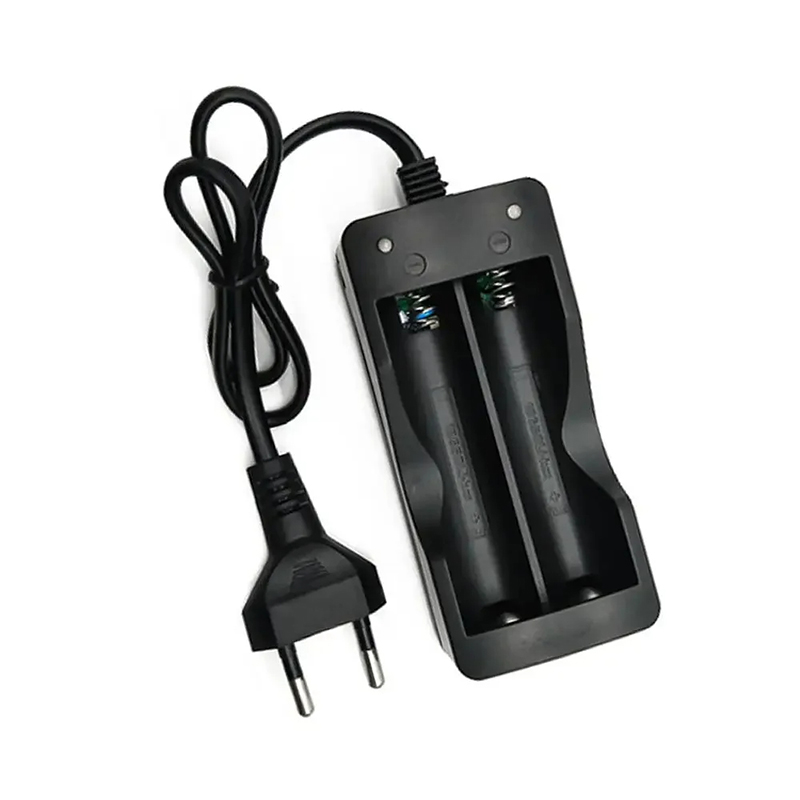 18650 Caricabatteria Spina UE  - Smart Home Europe recensione e prezzo